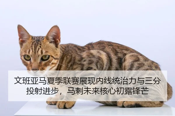 文班亚马夏季联赛展现内线统治力与三分投射进步，马刺未来核心初露锋芒