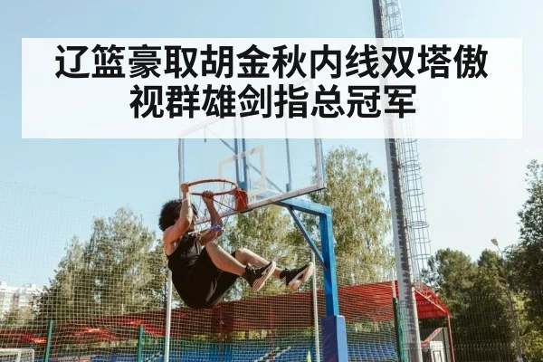 辽篮豪取胡金秋内线双塔傲视群雄剑指总冠军