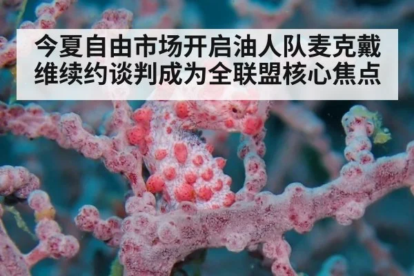 今夏自由市场开启油人队麦克戴维续约谈判成为全联盟核心焦点